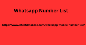 Whatsapp Number List