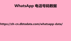 WhatsApp 电话号码数据
