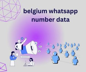 belgium whatsapp number data