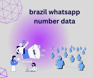 brazil whatsapp number data